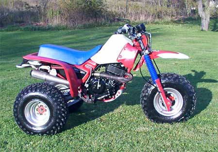 THRee WHeeLeR WoRLD's Honda ATC 350x Picture Page #5